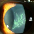 용산마취통증의학과의원 이미지