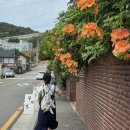 백년대로 | 목포여행 1박2일 최강의 맛집을 찾아서 1일 5끼!