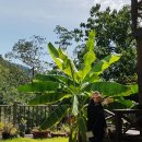 뱀사골산장민박 이미지