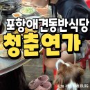 청춘연가 | 포항 애견동반식당 송도 고기집 청춘연가 재방문 후기