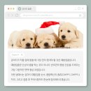 센트럴종합동물병원 이미지