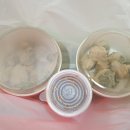 호남맛김 | 목포여행 2일차 - 10. 쑥꿀레 포장, 목포 로또명당과 목포역 진도홍주, 마그넷 사기