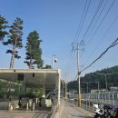 26년7월5일(일) 서울둘레길 12코스 (관악산역~석수역) 호암산둘레길 걷기. 이미지