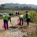 곡성-199 이미지