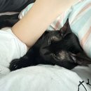 테크노공원로,테크노상업로 | [25년 12월 상반기] 일상들