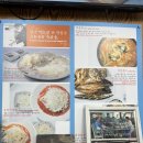 [삼척 여행/삼척 맛집/용화해변 맛집] "용화물회" - 모둠회와 오징어통찜 후기