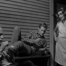 선망목장 이미지