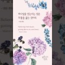 오늘의 '신앙 명언'(248강) 마틴 루터(Martin Luther) 이미지