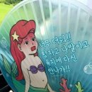 참새 허수아비 이미지