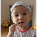 우리집 똥강아쥐 이미지