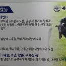 계족산염소맛집 이미지