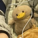 24년 오월 블계 일기장 ♡⃞⃛୭