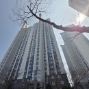 유천포스코더샵 | 달서구 유천동 유천포스코더샵 코콤푸시풀도어락WD9000S(우담H/W전용모델) 시공후기