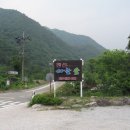 펜션밴드 Daum카페