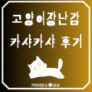 카샤인 | 고양이 장난감 카샤 카샤 봉봉 쥐 후기