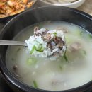 637 | 대전 선화동 소머리해장국 실비김치 주말 웨이팅 내돈내산 후기