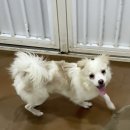 똥꼬발랄 Daum카페