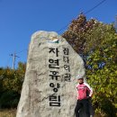 청평역 앞 이미지