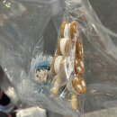 지금 거의 거렁뱅이예요