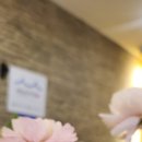 해운대에스테틱 이미지