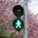 이전초등학교 이미지