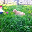 애원목장 이미지