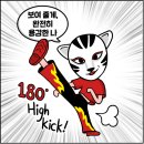 무영권투 이미지