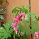 일신헬스클럽 이미지