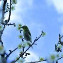 모름지기 이미지