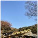 용해식당 네이버블로그