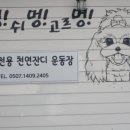 놀멍쉬멍고르멍 이미지