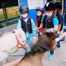 청원초등학교 이미지