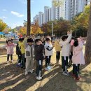 🍂재미있는 나뭇잎 놀이를 해요~☀️ 이미지