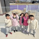 쥬쥬랜드 이미지