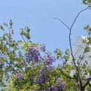 한국프렌지앞 이미지