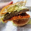 청양빌딩 | 롯데리아 신메뉴 청양바삭통새우버거 / 김치불고기버거 / 내돈내산 솔직후기