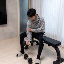 웨이트 트레이닝 | 이고진 가정용 평벤치 벤치프레스 웨이트 트레이닝 후기