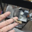 힐링크레