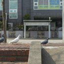 도랫말어린이공원 이미지