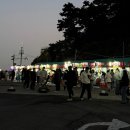 암남공원 | [부산 맛집] 송도 암남공원 조개구이 “한라산” 8만원 후기