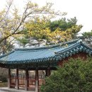 서화1 이미지