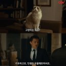 네가 어떤 너래도
