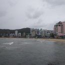 송정사우나 이미지