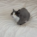 장원환경 이미지