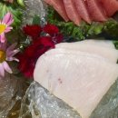 미주참치 이미지