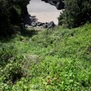 하모리-10 이미지