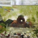 물멍물멍 이미지