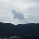 날으는곰