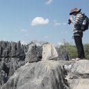 바오밥나무 이미지