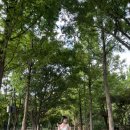 소소헤어 - 논산시 시민로194번길 12-3 | 소소헤어